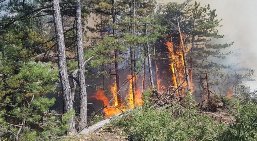 Karabük'teki orman yangını rüzgarın etkisiyle büyüyor