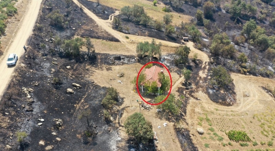 Yangın tehdidini kuru otları temizleyerek geri çevirdi!