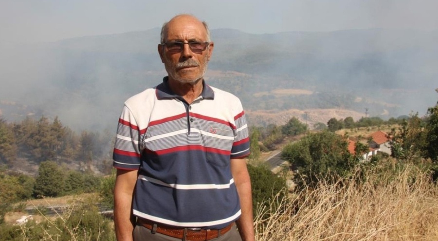 Aydın'ın Bozdoğan ilçesinde çıkan orman yangınında yeşil alanlar küle döndü