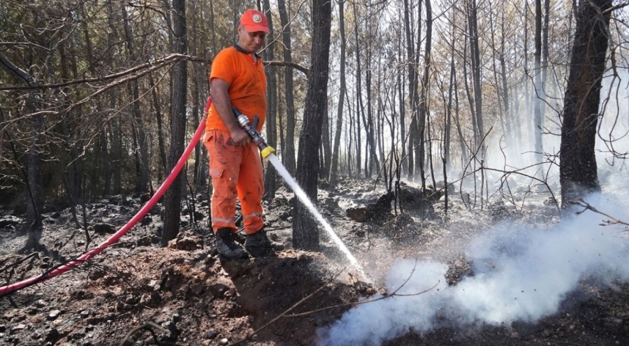 Kırsal alanda çıkan yangın 3 sera ve ormanlık alana zarar verdi
