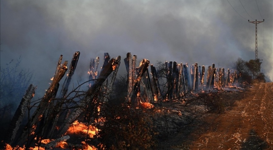 Edirne'de anız yangını söndürüldü
