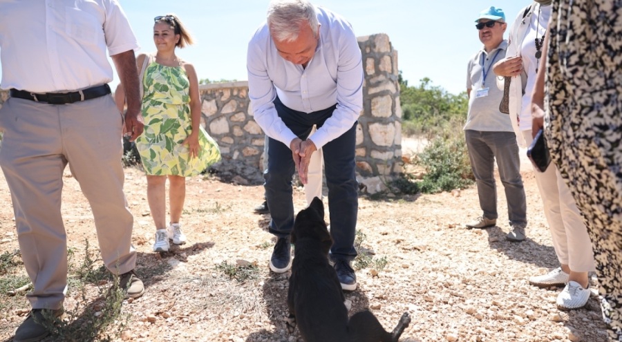 Şadi Başkan'dan sokak hayvanları için yapılan Doğal Yaşam Alanı'na ziyaret