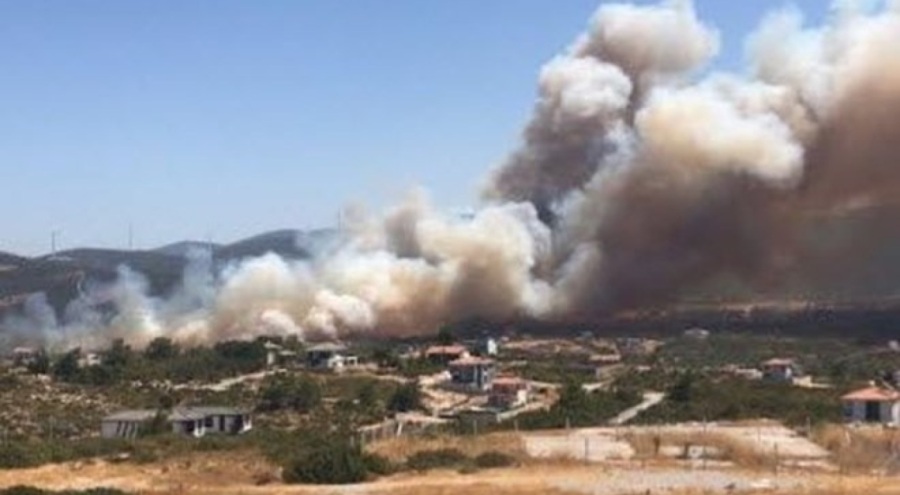 Aydın'daki maki yangınını çıkaran 3 şüpheli tutuklandı