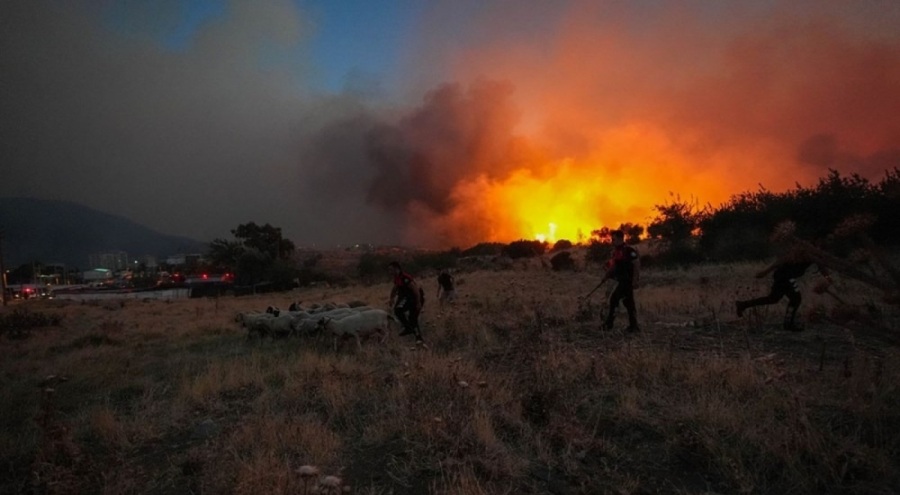 Türkiye'nin ciğerleri yandı! Felaketin acı bilançosu