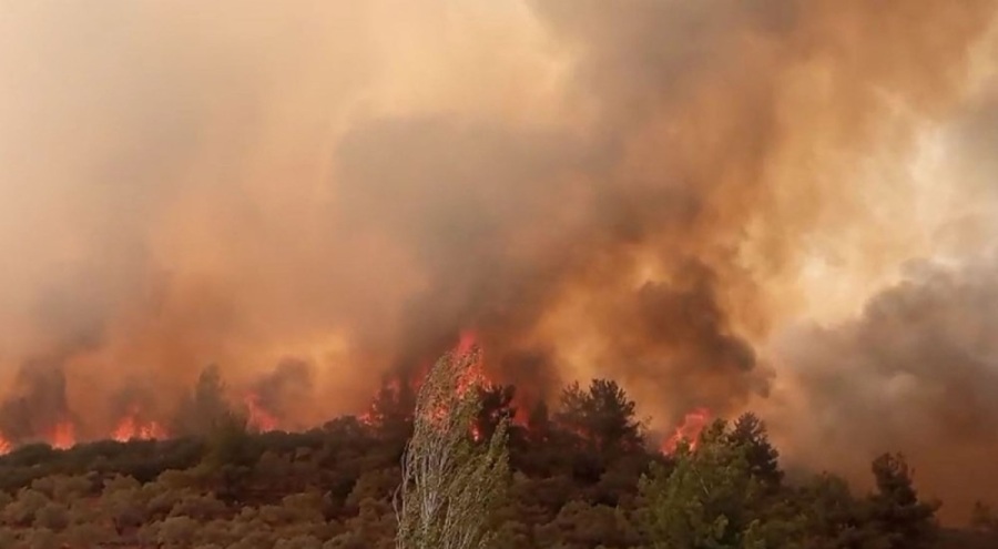 Orman yangınlarıyla mücadele sürüyor! 9 tutuklama