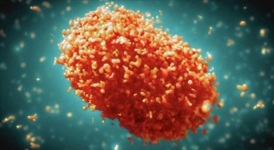 Filipinler'de maymun çiçeği alarmı verildi