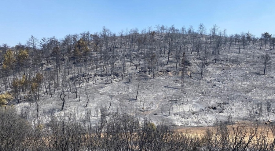 Manisa 6 gündür yanıyor