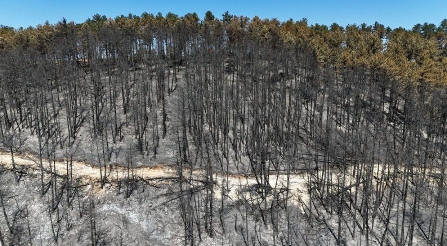 Karabük'te yanan alanlar havadan görüntülendi