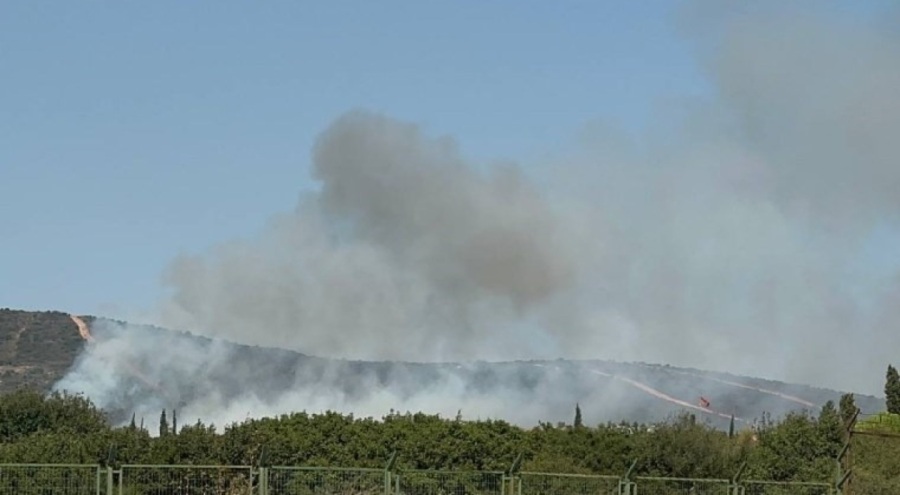 Tuzla Piyade Okulu'nun arazisinde yangın çıktı!