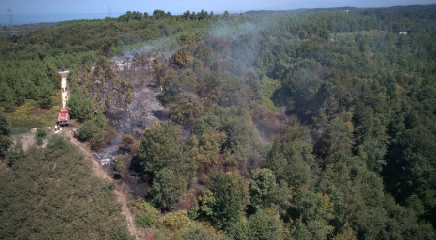 Sakarya orman yangını kontrol altında