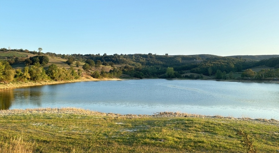 Serinleme faciası: İki kardeşin acı sonu