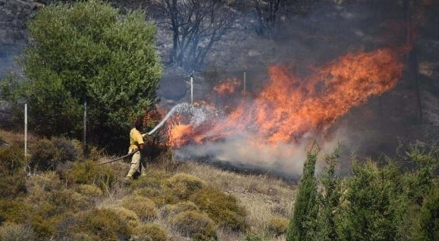 İzmir'deki orman yangınlarında çok sayıda tutuklama!
