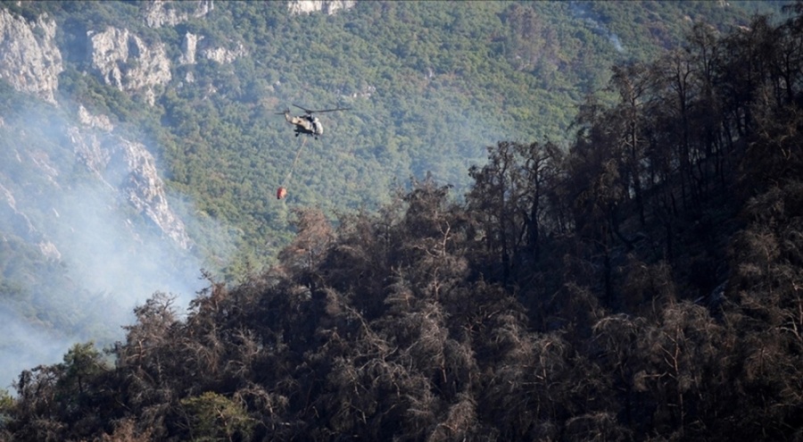 İzmir Menderes'teki orman yangını kontrol altına alındı
