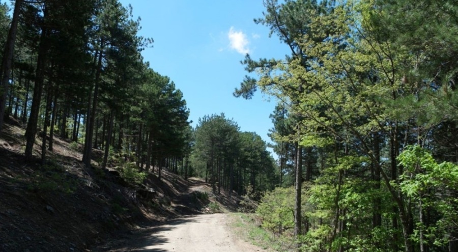 Kazdağları'na giriş yasaklandı