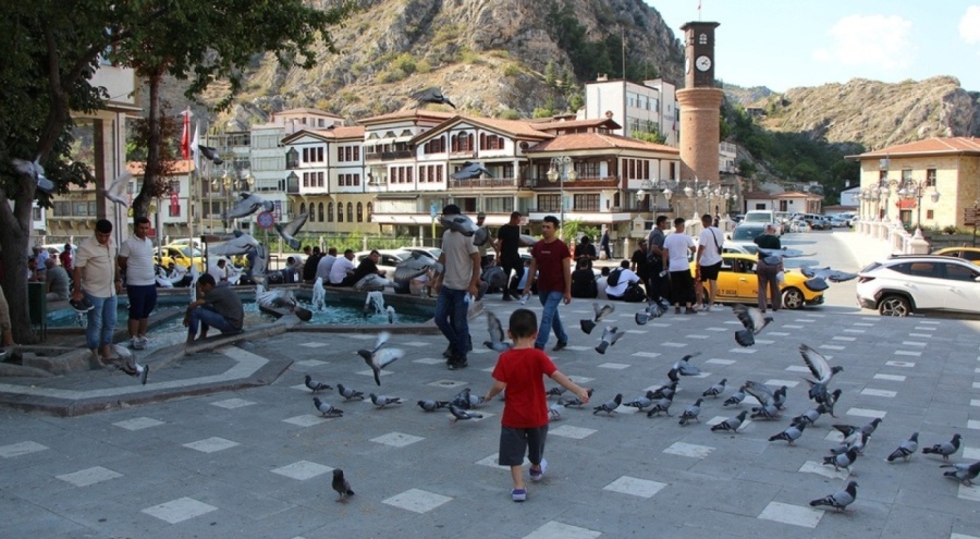 Amasya'da termometreler 40'ı vurdu