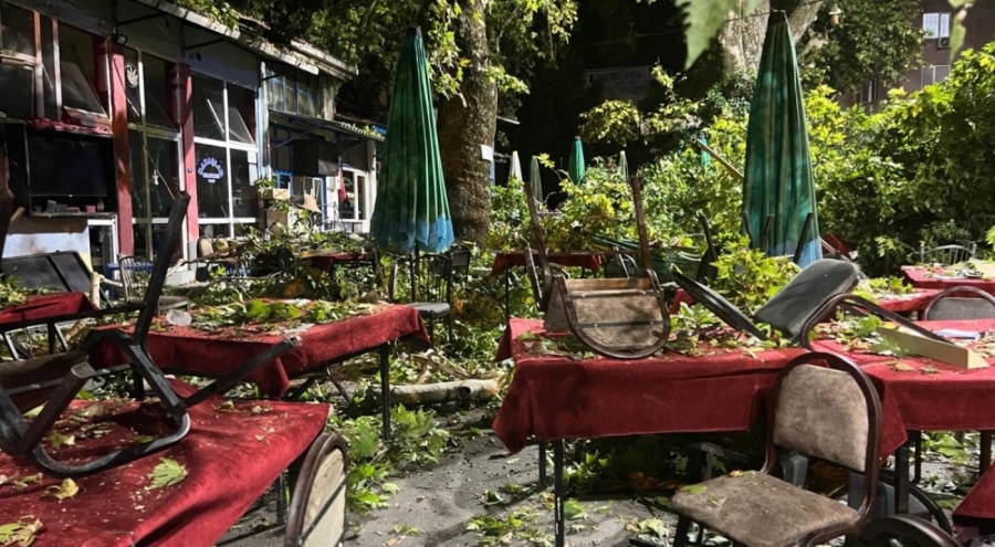 Asırlık ağacın dalı kıraathanede oturanların üzerine devrildi