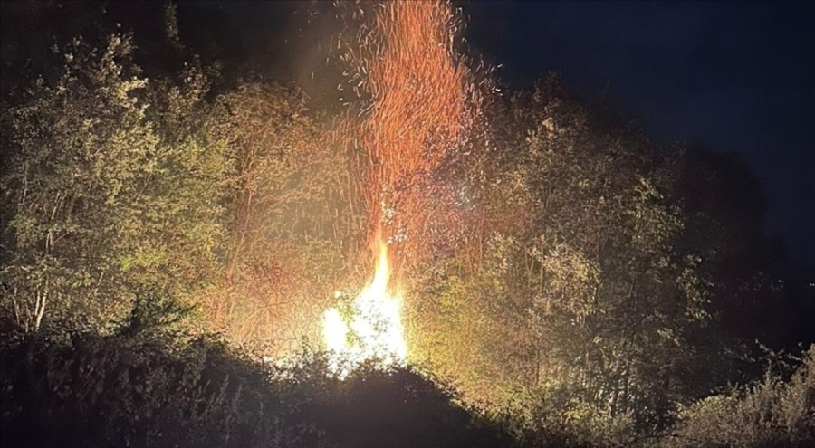 Tokat'ta orman yangını!