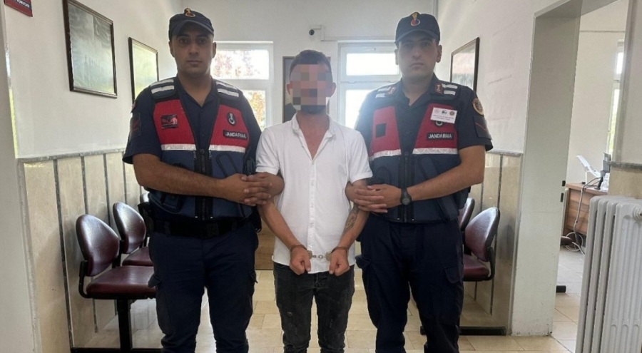 Bursa'da ahırında uyuşturucu yetiştiren şahıs yakalandı
