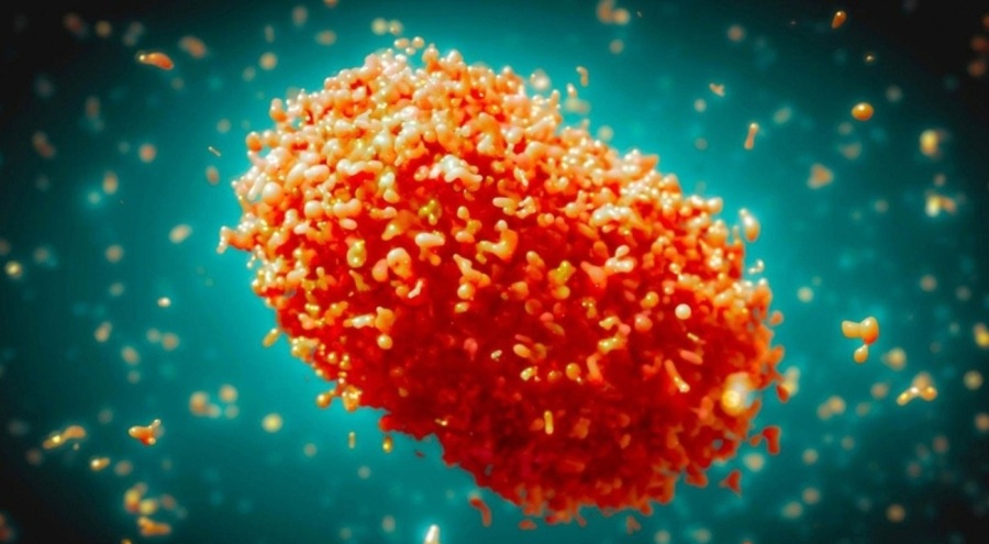 Çiçek hastalığına karşı aşısı olanlar, maymun çiçeğine karşı korumalı mı?