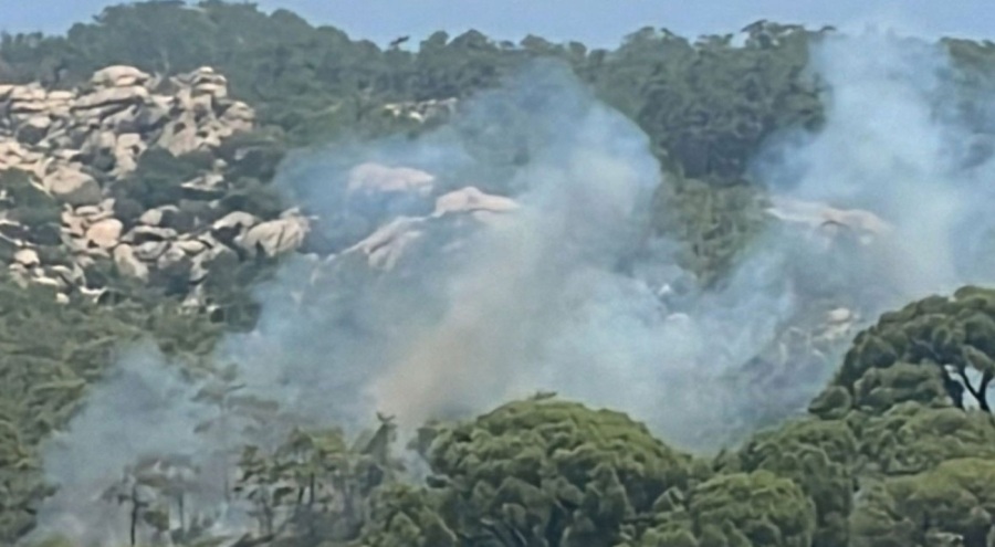 Muğla'da orman yangını