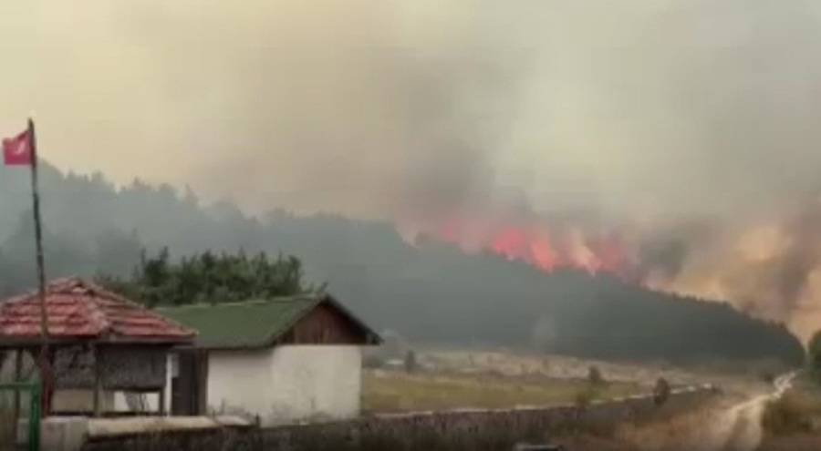 Ankara ve Bolu'daki orman yangınında 1 gözaltı