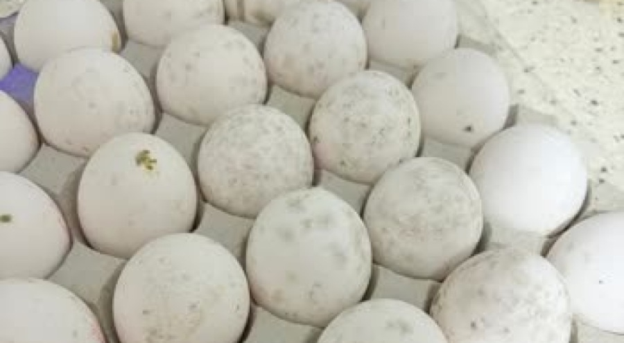 Bursa'nın ünlü marketinde küflenmiş yumurta skandalı!