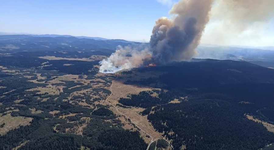 Kızılcahamam'da çıkan yangınla ilgili tutuklama