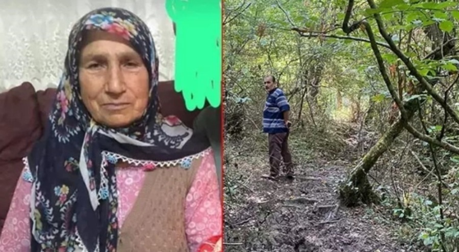 İneklerini toplamaya gitmişti: Cansız bedeni bulundu