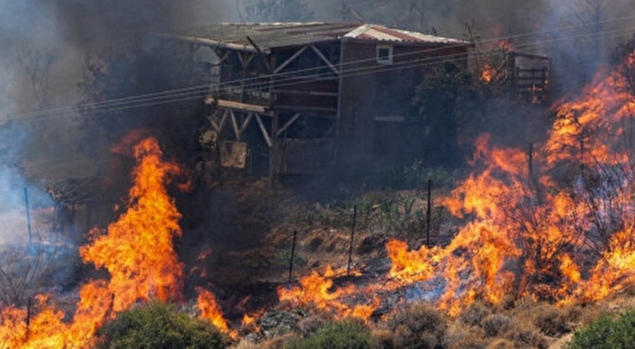 AFAD'dan İzmir ve Aydın'daki orman yangınlarına ilişkin açıklama