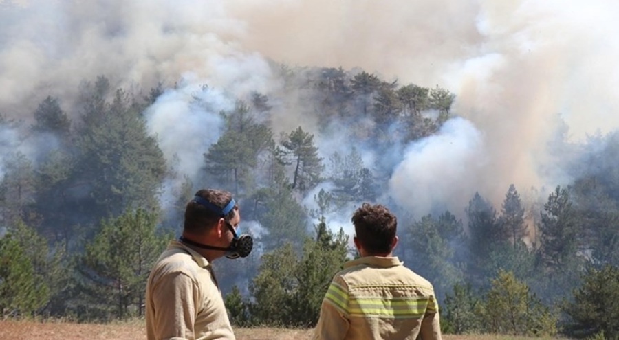 Bolu'da kontrol altına alınan yangında soğutma çalışması sürüyor