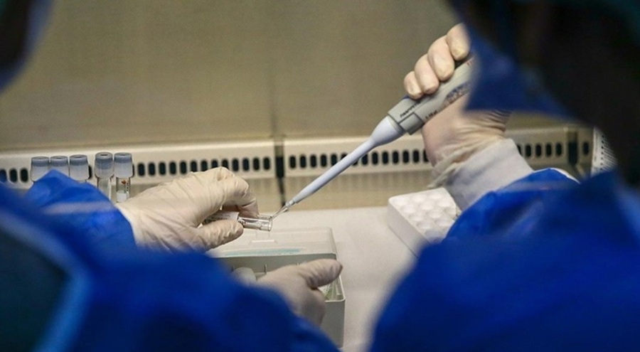 DSÖ Genel Direktörü: Yeni M Çiçeği salgını kontrol altına alınabilir