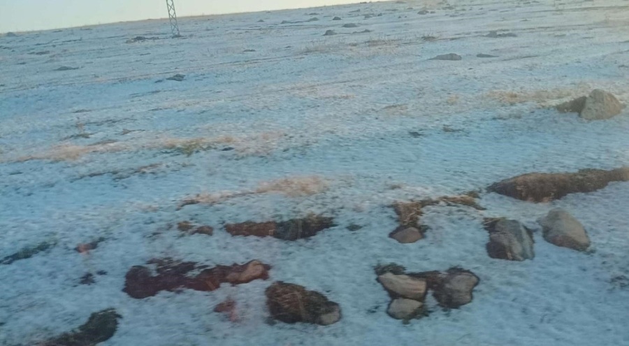 Bir ilimiz beyaza büründü