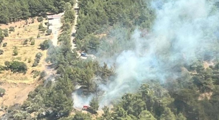 İzmir Kemalpaşa'da orman yangını