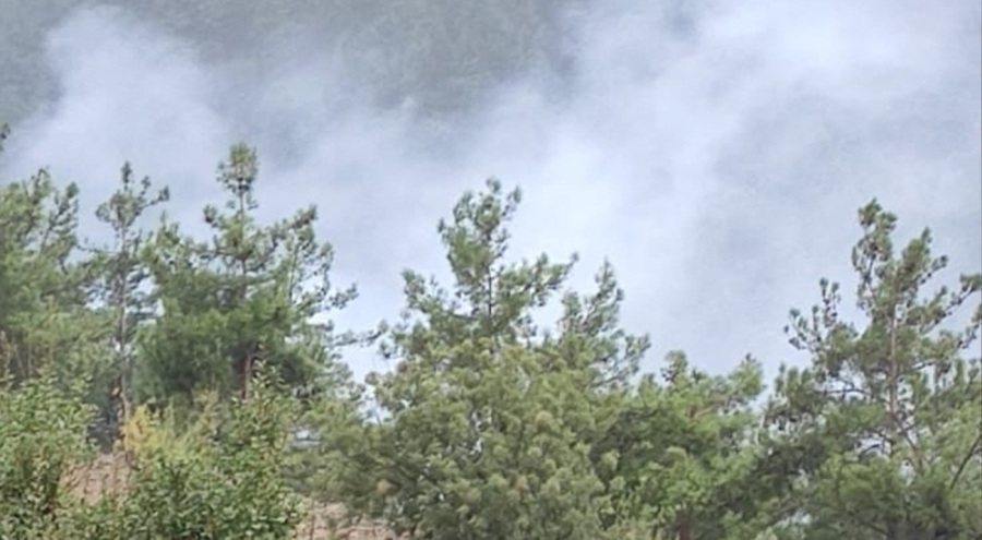 Yıldırım düşmesi sonucu 4 noktada orman yangını çıktı