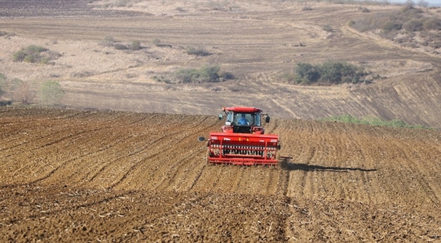 Çiftçilere verilecek bitkisel üretim destekleri belli oldu