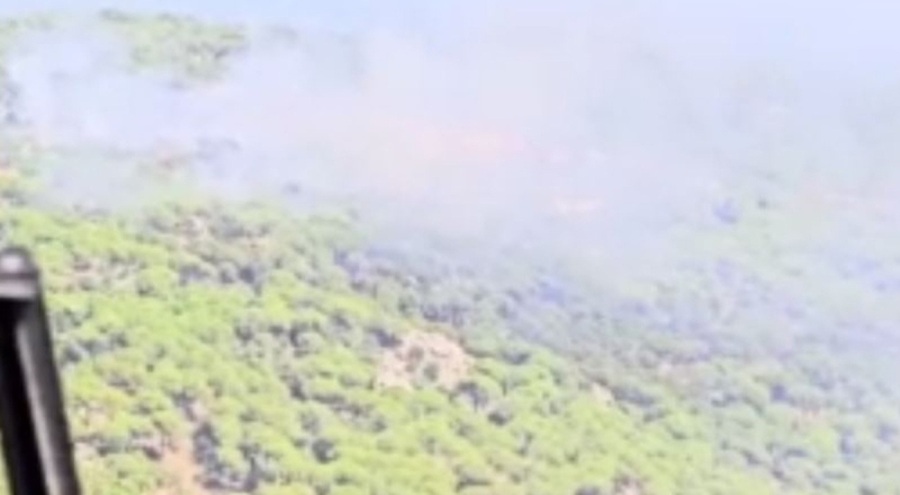 Bergama'da orman yangını: Havadan ve karadan müdahale ediliyor