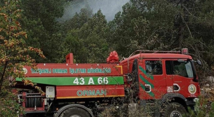 Ormana düşen yıldırım yangına neden oldu