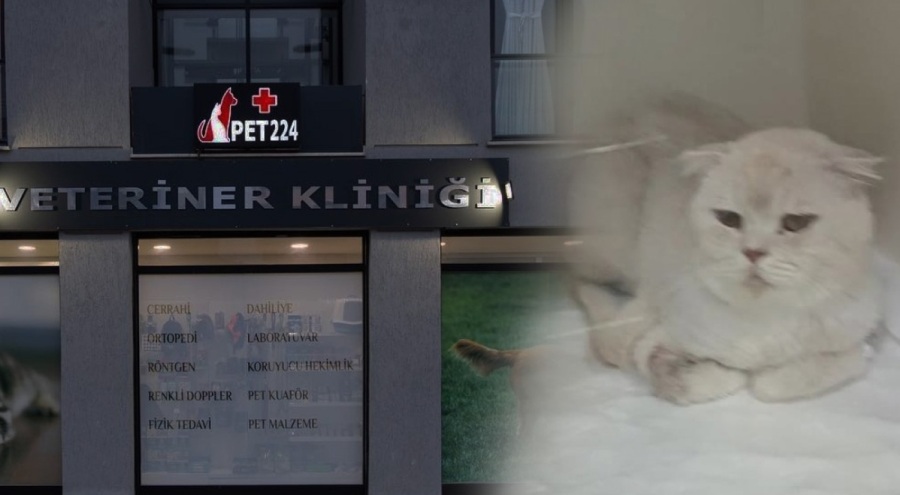 Bursa'daki veteriner kliniğinde ihmal öldürdü iddiası!