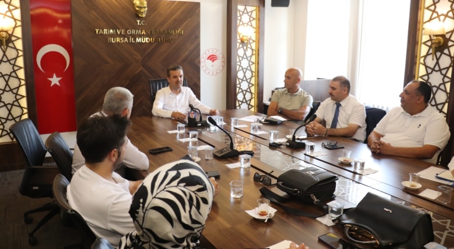 Bursa'da ihracatçılar siyah incirin geleceğini konuştu