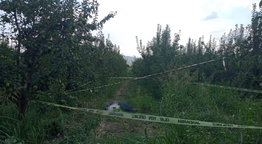 Bursa'da kaybolan adamın cesedi armut bahçesinde bulundu