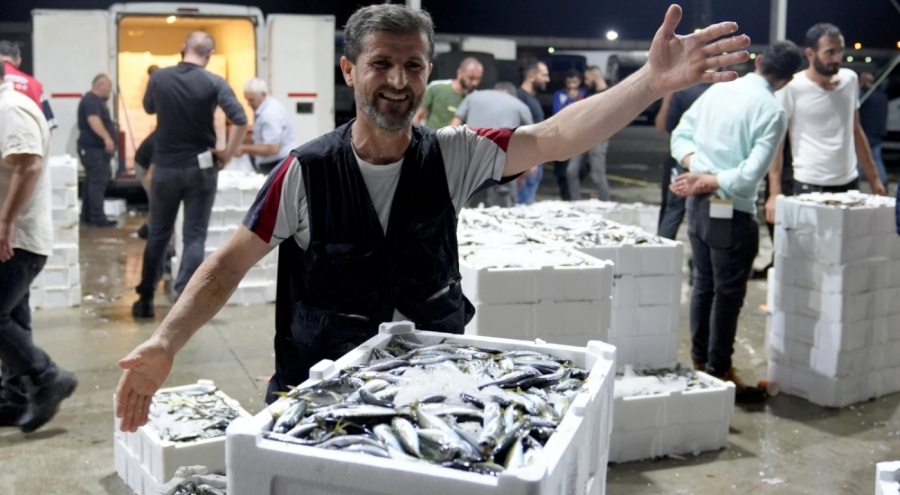 Sezonun ilk balıkları hale geldi: İşte fiyatlar