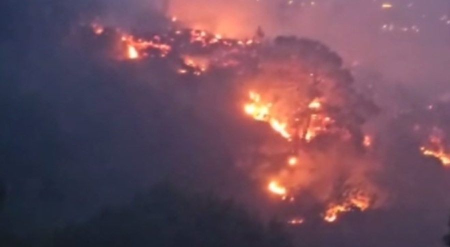 Yıldırım yangın çıkardı! 10 dönüm alan kül oldu