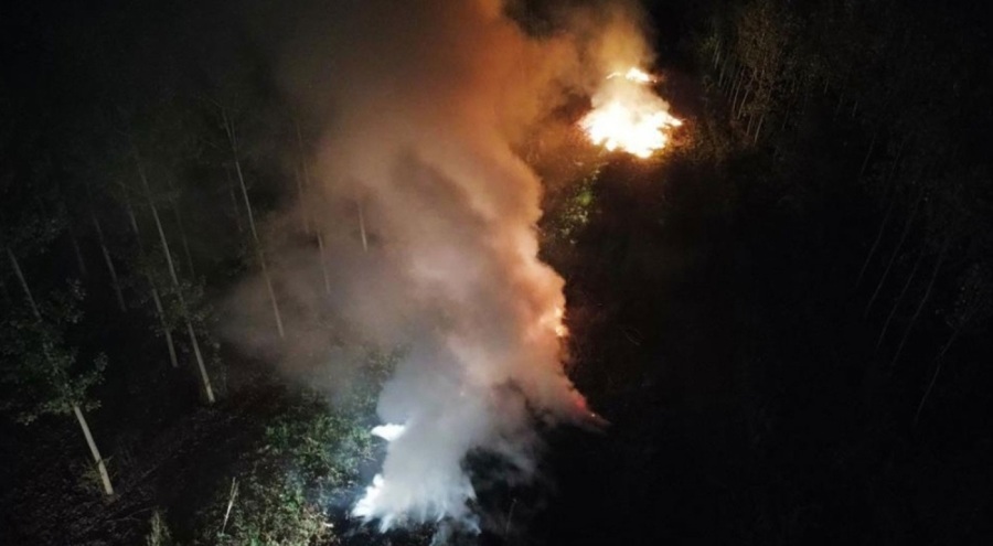 Sakarya'da ağaçlık alanda korkutan yangın