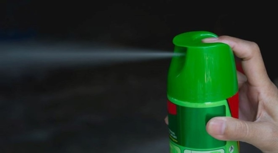 Japonya'da arı paniği: 15 ilkokul öğrencisi hastanelik oldu