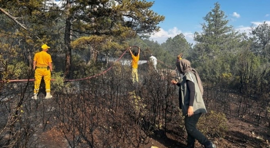 Burdur'da çıkan orman yangını söndürüldü