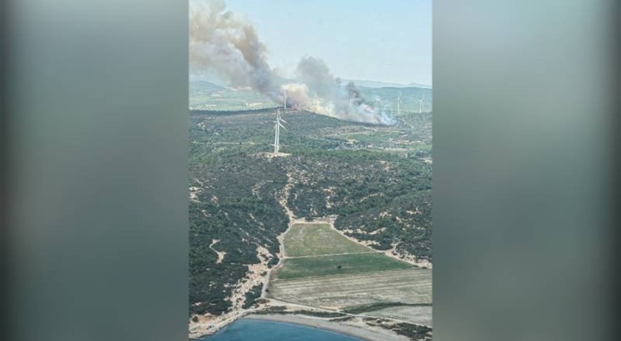 Urla'da orman yangını