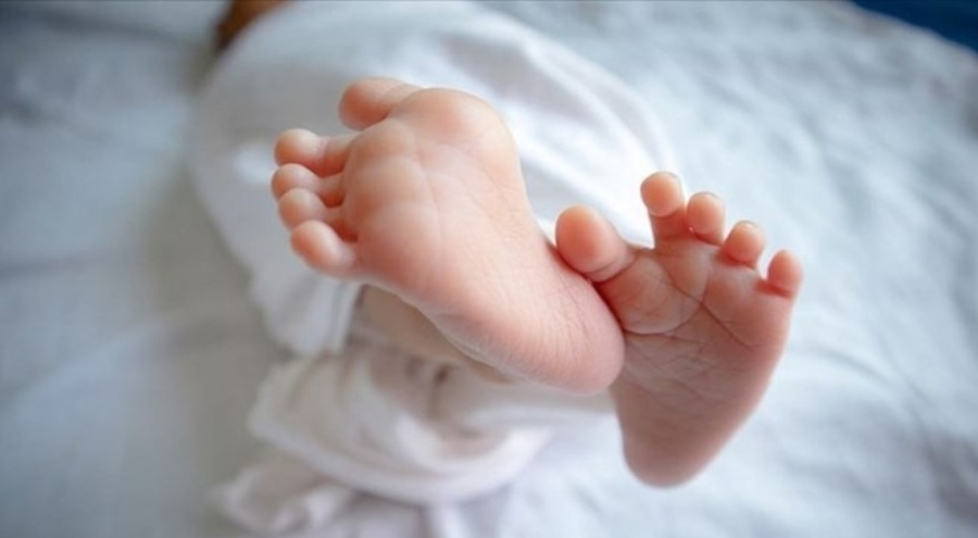 Ormanlık alanda terk edilmiş bebek bulundu