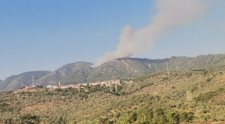 Muğla'da orman yangını