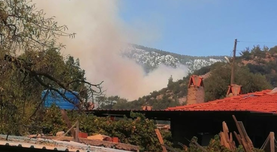 Muğla'da orman yangını