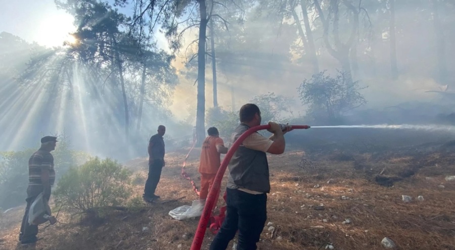 Antalya Kaş'ta orman yangını: Havadan ve karadan yoğun müdahale sürüyor